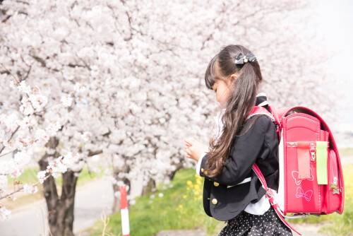 小学生