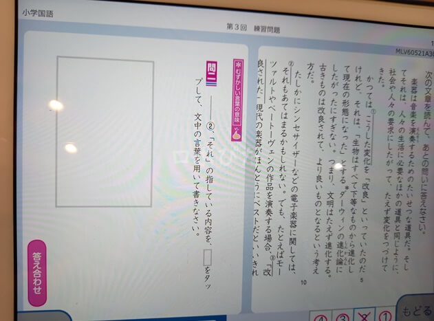 Z会タブレット小学生国語