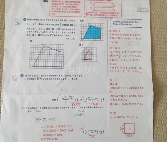 Z会紙国語