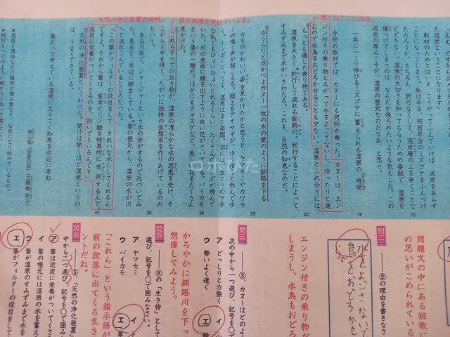 Z会の紙の教材添削課題